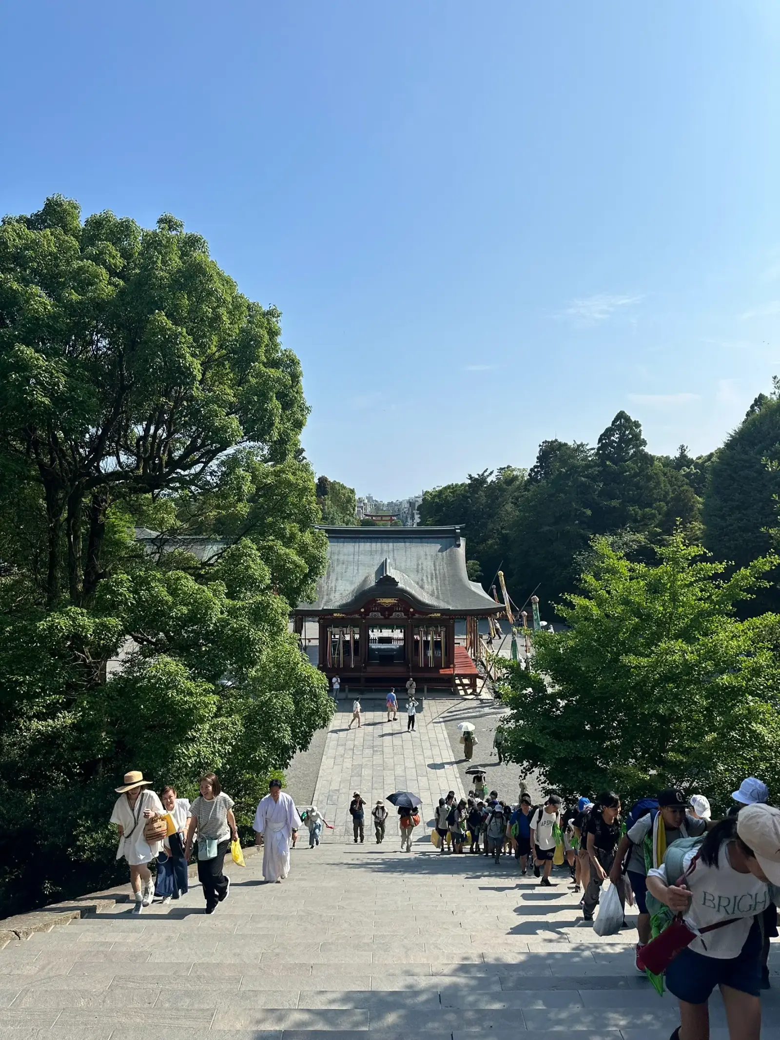 Tour guide service